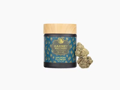 Buy Harney Brothers Poddy Mouth | Flower Online - Strain Stars Cannabis ...